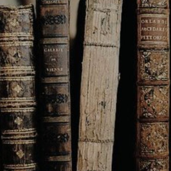 Meet your Posher, Lived In Threads - Picture 2 of 14